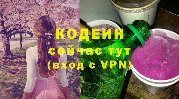 СК Нижний Тагил
