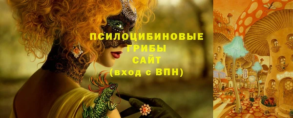 хмурый Майский