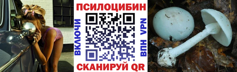 Галлюциногенные грибы мицелий  Юрьевец 