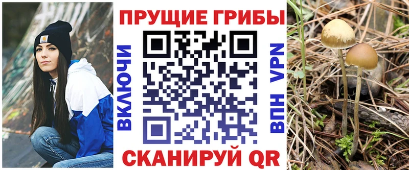 Галлюциногенные грибы GOLDEN TEACHER Юрьевец