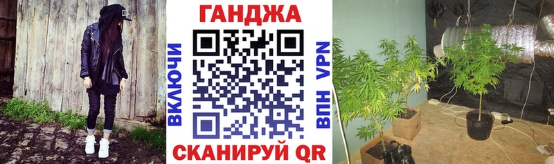 Бошки марихуана марихуана  где купить   маркетплейс Telegram  Юрьевец 
